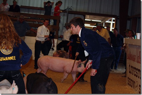 Hog Show 084 Hog Show 084