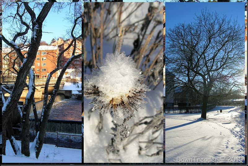 2010-12-01 snow