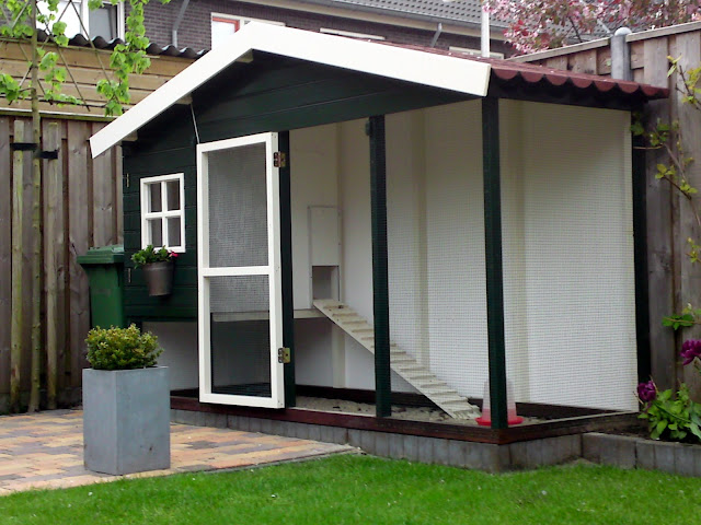 Laat Je Kippenhok Eens Zien Pagina 7 Kippenforumnl