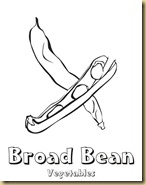 broad_bean (1)
