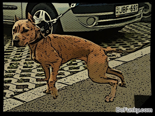 SNC00440_Cartoonizer_1.jpg
