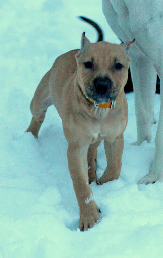 20100107_0642_v2.jpg