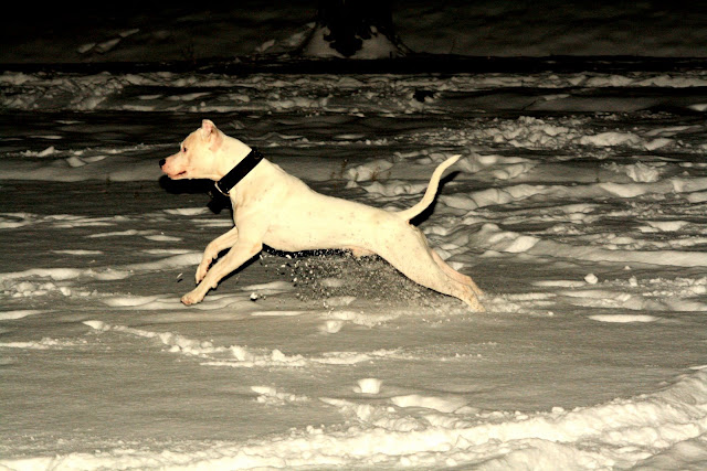 20100107_0688_v2.jpg