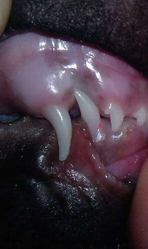 P1144%5B03%5D_20-01-10.JPG