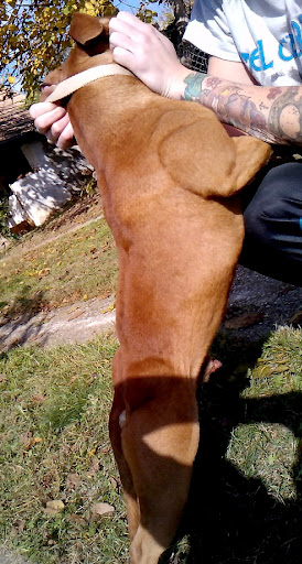 P1041_27-10-09.JPG