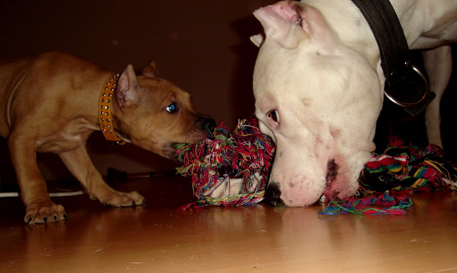 DSC02805.JPG