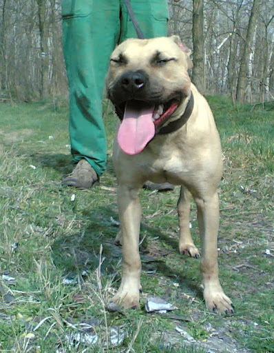 20080309%28001%29.jpg