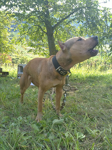 20100913014.JPG