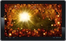 Autumn Sun HD live wallpaperのおすすめ画像2