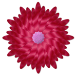 th_florrojapapel.png