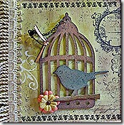 A-Front cover of Bird Cage Album