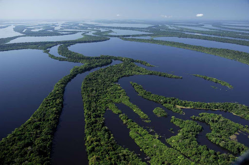 Anavilhanas+National+Park+at+high+waters+2.jpg