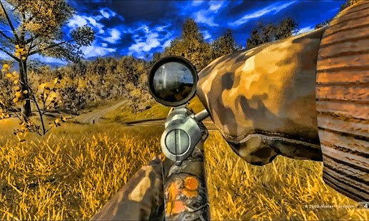 Deer Shooting Hunter