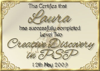 [laura_discovery2_certifiicate[3].jpg]