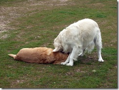 Maggie and Jackie playing Emerald Coast #2