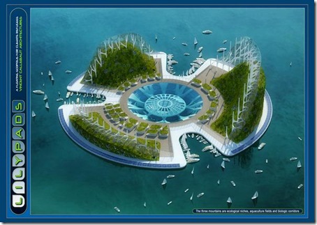 lilypad_photo2.jpg