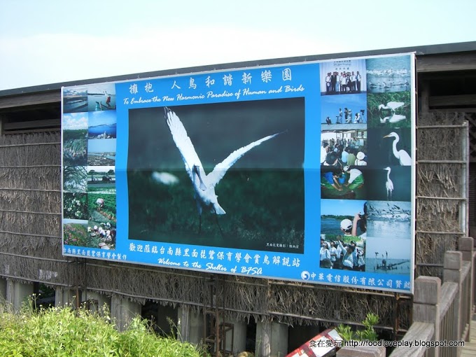 台南七股-黑面琵鷺保護區-觀鳥亭與展示館