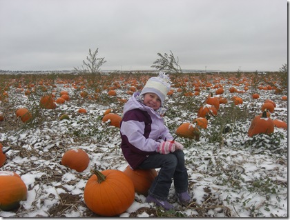Halle in the pumpkin field