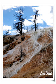 黃石公園 Mammoth Hot Spring