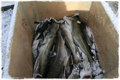 2011.03.27 100-01 2011.03.27 100-01