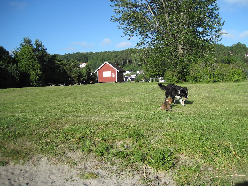 IMG_0055.JPG