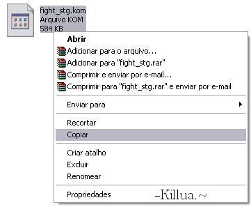 Copiar.JPG