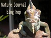 Nature J Blog hop