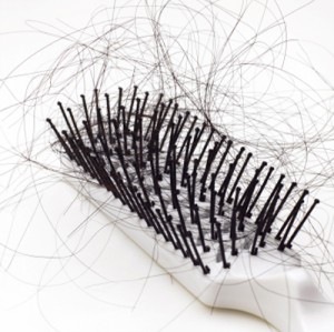 [hair-brush[9].jpg]
