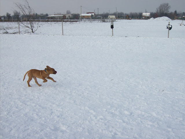 100_2055.JPG
