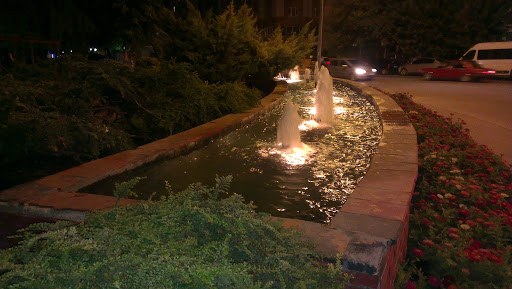 Fountain on University Street