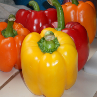 Lastest Healthy Vegetables Memory Game APK