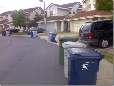 garbage bins awaiting the clenaing truck