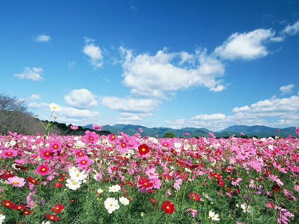 photos_of_People_and_Nature_wide_JD001_3