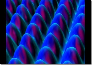 sonda de barrido
