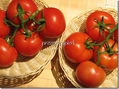 tomatoes Pree