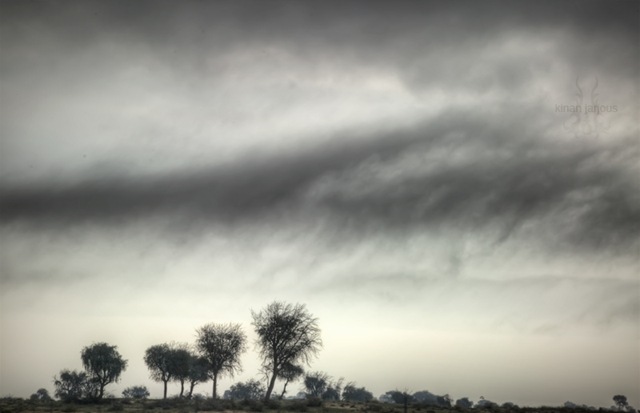 [Shades_of_Grey_by_nawras[5].jpg]