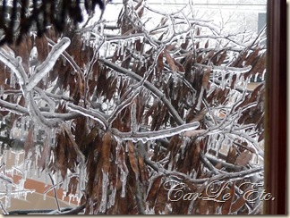 icy morning 004