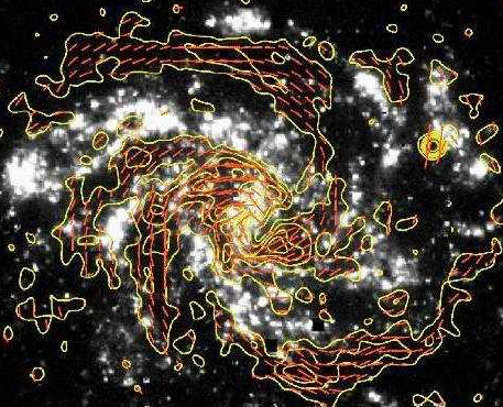 [rádio polarizado e campo magnético da nebulosa NCC 6946[2].png]