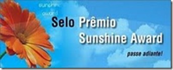 premio_sol_brillante