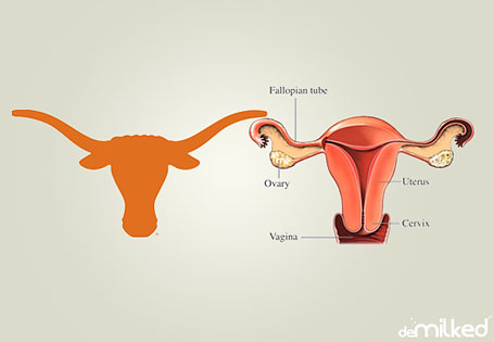 logo-design-fail-texas-longhorns.jpg