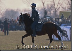 Кушия 2011
