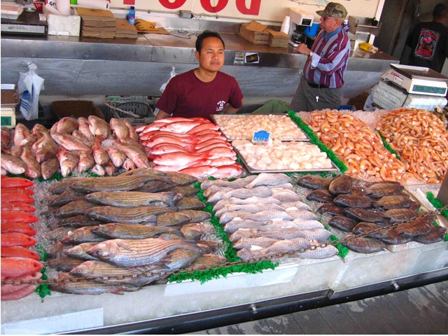 [Fish market[4].jpg]