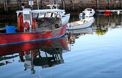 Harbor Harbor