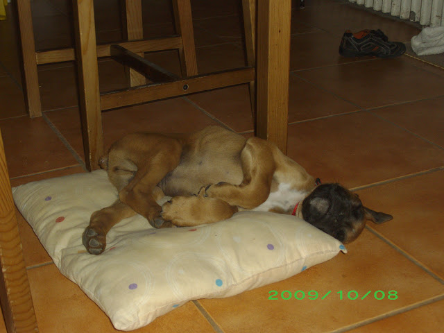 IMGP4065.JPG