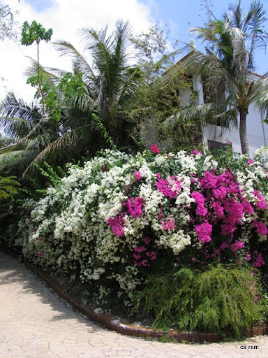 IMG_8732.JPG