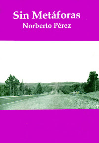 sin metáforas
