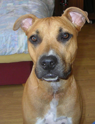 SANY2005.JPG