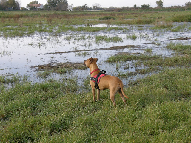 PA239930.JPG