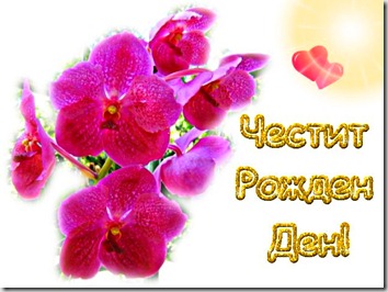 4RD_lilavi_orhidei