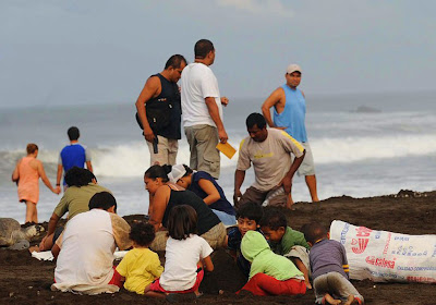 Childern Finding Sea Turtles Eggs On Beach